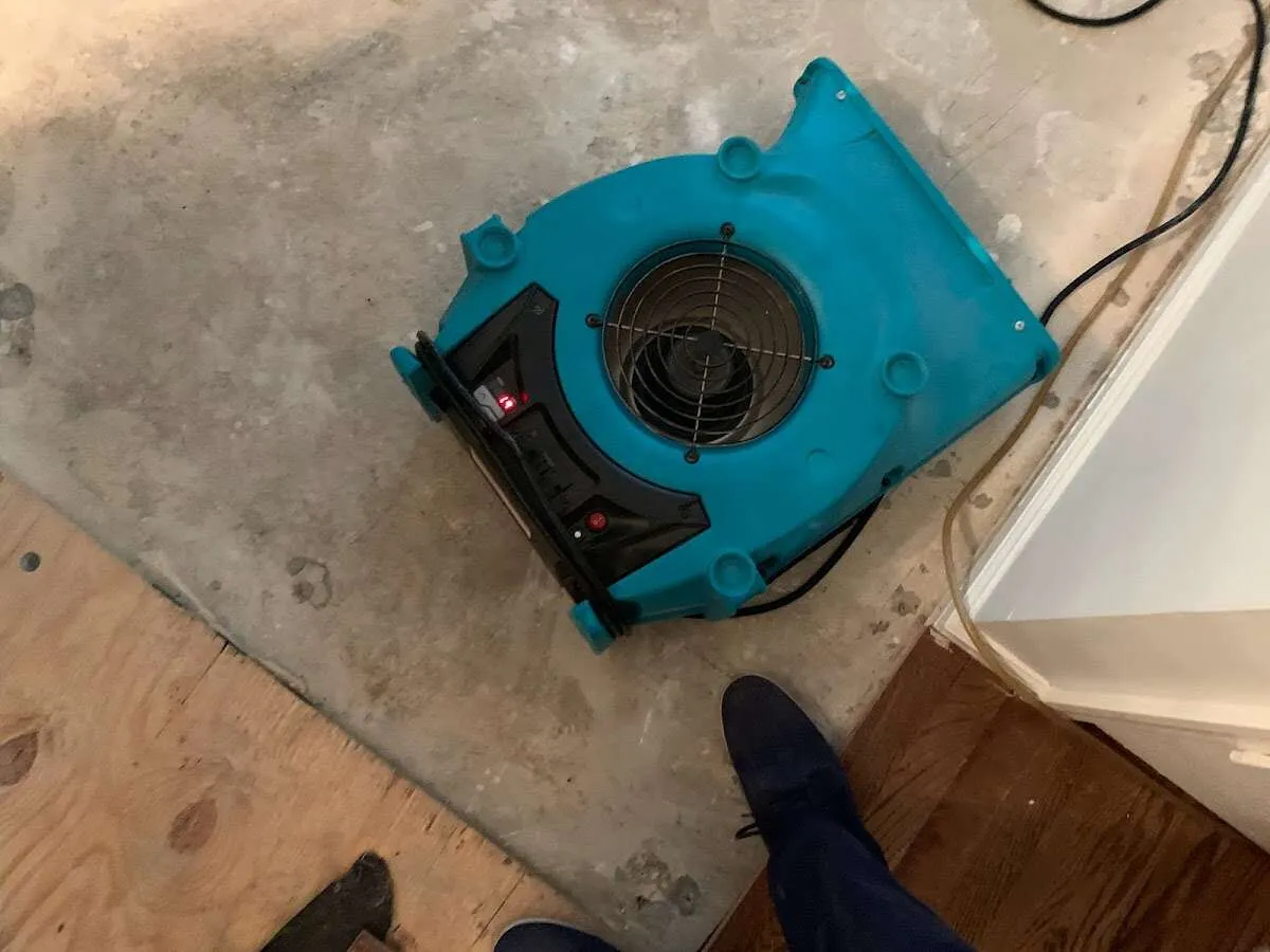 Air mover drying subfloor during Commercial Water Damage Restoration in Rutherford
